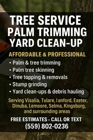 Marcos 🌲 Tree Service 1