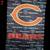 CHICAGO BEARS FOOTBALL Sports BANNER Flag Garden Lawn Spike 2 Sided 1 thumbnail