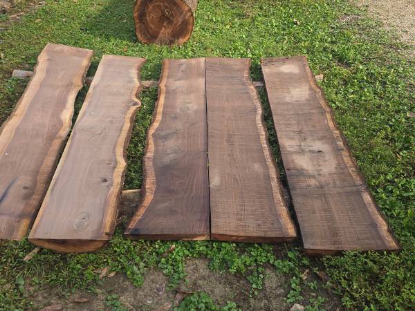 Live Edge Black Walnut Slabs – 8’ 8” Long, Up to 20” Wide