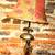 ORIENTAL LADY with DUAL PARASOL PAIR OF TABLE LAMPS LIGHT with SHADE 1 thumbnail