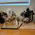 1930s Benkei composite doll: Japanese Kimekomi dolls ($95ea) 7 thumbnail
