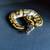 Orange Dream Ball Python 1 thumbnail