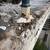 DECK–BALCONY & WALKWAY repairs per Senate Bill SB-721 & SB-326 11 thumbnail