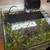 Rehoming Fish Tank 5 thumbnail