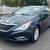2013 Hyundai Sonata SE-L 1 thumbnail