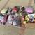 Lots Pets Toys And Bags 5 thumbnail