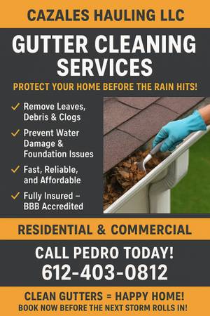 Gutter Cleaning 1