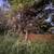 Land for rent in Valle de Banderas, ideal for agricultural purposes, 4 thumbnail