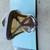 Women's DC Snowboard 150cm with Burton Bindings 17 thumbnail