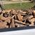 FIREWOOD DRY OAK DELIVERED 1 thumbnail