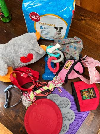 puppy stuff! 1