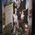 1997 - Exclusive Premiere Limited Edition Collectors Series 6 thumbnail