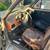 1981 VW RABBIT PICKUP 8 thumbnail