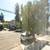 398 Euclid Ave, Bright, Sunny One bedroom 16 thumbnail