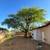 Tree Service / yard maintenance / tree and shrub planting / feeding 6 thumbnail