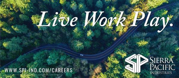 Director of Flight Maintenance (Redding Aviation) 1