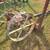 Horse drawn mowing machine 4 thumbnail