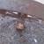 Fabulous HEAVY Antique Iron Tractor Wheel Yard Art Ranch Decor 29inch 4 thumbnail
