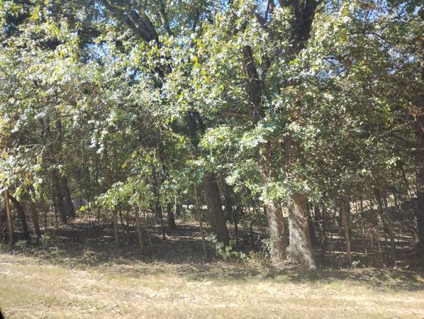 $6,950 RV/ Camper lot at Tall Tree POA near Lake Cypress Springs (Mount Vernon, TX)64037558508803122