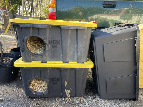Wanted: Styrofoam Coolers 1