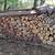 Firewood- mostly Elm- covered and dry 1 thumbnail