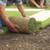 NB Landscape Pro – Premium Landscaping Services 2 thumbnail