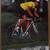 Schwinn Paramount Poster (px3) 1 thumbnail