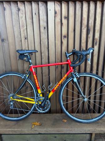Serotta 54cm custom bike 1