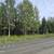 1.05 Acre lot with electricity near by, off Funny river road 6 thumbnail