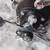 Shimano bantam 100 reel and sealine 30H Reel 3 thumbnail