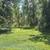 Level Lot 4 thumbnail