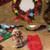 CHRISTMAS LOT PLATES BOWL CUP ORNAMENTS SNOWGLOBE SANTA BAG OF COAL 6 thumbnail
