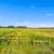 Over 20 Acres for Sale! 11 thumbnail