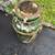 Vintage Milk can with lid!  just needs a repaint 2 thumbnail