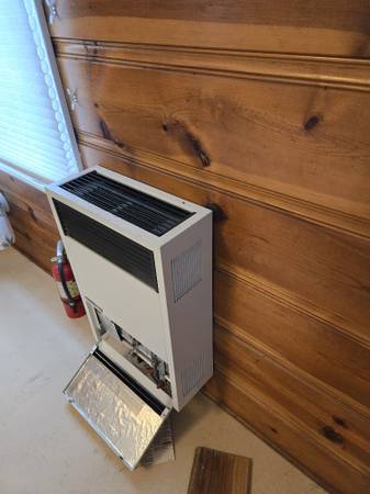 Williams Gravity Direct Vent Natural Gas Wall Heater 1