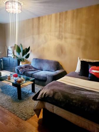 $2,700 / 1br - Sublet!! 2-3 months (Forest hills)64033460351362121