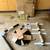Century foldaway speed bag platform SKU#108683 2 thumbnail