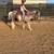 Riding Lessons and More 2 thumbnail