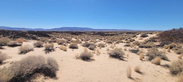 $75,000 / 435600ft2 - 10 Acres de Tierra (29 Palms CA)63668337497985120