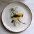 Goldfinch bird Plate National Wildlife Federation Protect our Songbird 1 thumbnail