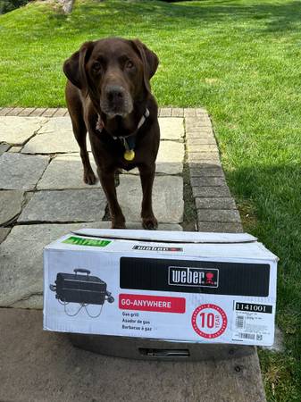 WEBER Go Anywhere portable grill - 1141001 - $50 (Langhorne)63471098876547120