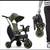 FIRM PRICE.   DooNA LIKI STROLLER and S3 Trike 5 thumbnail