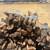 Almond Firewood Bundles 2 thumbnail