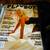 Playboy  Magazines 7 thumbnail