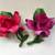 Napoli Dea Capodimonte Lot of 2 Porcelain Roses Fuchsia Pink and Red 1 thumbnail