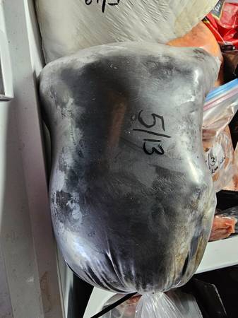 Whole frozen rabbit - dog or reptile food 1