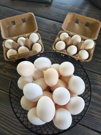 Fresh farm eggs 1