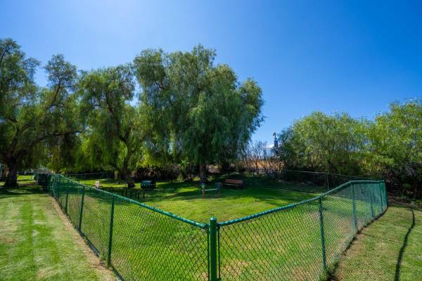 $2,949 / 2br - 1179ft2 - 💀 Scarily Good 2BR/2.5BA Deal—Jessica Thornton Has the Keys!63952928229763121