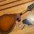Vintage 1920’s Regal Lyra mandolin RARE pearl fingerboard and scroll s 2 thumbnail