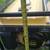 Champion Generator 3,500 Watt ,Starts Right Up 9 thumbnail